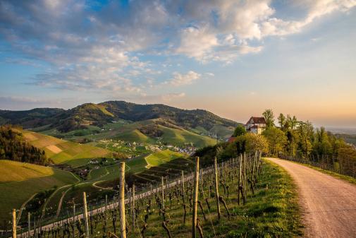 Schloss in den Weinbergen Schloss in den Weinbergen